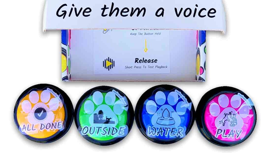 Woof Meow Hello recordable buttons for dogs, with colorful box that reads "give them a voice" on front flap.