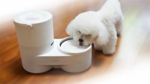 Drinkie is a cool gadget for your dog!