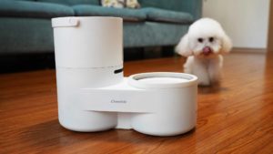 drinkie is a cool gadget for dogs to drink their water clean and without waste.