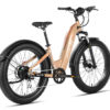 Aventure step through ebike in gold