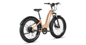 Aventure step through ebike in gold