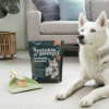 dog lying down on its stomach to the right of a bag of Sprinkle & Sweep and a dustpan with a brush.