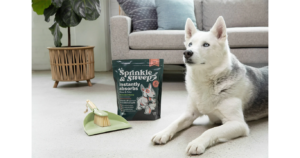 dog lying down on its stomach to the right of a bag of Sprinkle & Sweep and a dustpan with a brush.