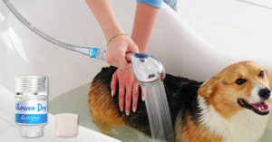 A woman bathing her adorable little dog using Shower Dog.