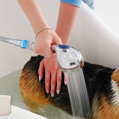 A woman bathing her adorable little dog using Shower Dog.